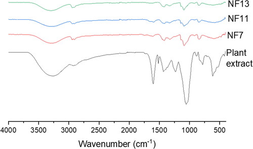 Figure 2. FTIR spectra of capparis sepiaria aqueous root extract, NF7, NF10, and NF13.