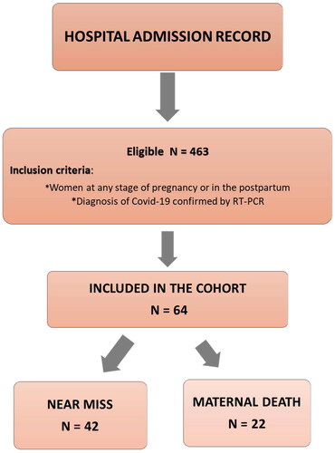 Figure 1. Flowchart of the admission and follow-up of participants in the study.