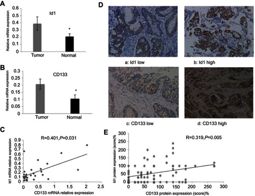 Figure 1 Id1 and CD133 expression in human colorectal cancer specimens and normal mucosal specimens. (A and B) higher Id1 (A) and CD133 (B) mRNA expression is detected in human colorectal cancer specimens than in matched normal mucosal specimens (P<0.05). The data are presented as mean ± SD. *P<0.05 vs the normal mucosal specimens; (C) Spearman correlation analysis reveals a positive correlation between Id1 and CD133 mRNA expression; (D) representative immunohistochemical staining of Id1 and CD133 expression (400×); (E) Spearman correlation analysis reveals a positive correlation between Id1 and CD133 protein expression in colorectal cancer patients.Abbreviation: Id1, inhibitor of DNA binding 1.