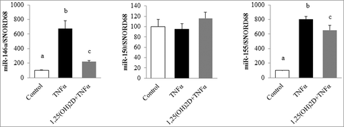 Figure 2. 1,25(OH)2D limits microRNA expression levels in murine adipocytes. 3T3-L1 adipocytes were preincubated with 1,25(OH)2D (100 nM) for 24 h followed by a second 24-h incubation with TNFα (15 ng/mL). Expression levels of miR-146a and miR-155 were quantified by qPCR in 3T3-L1 adipocytes. SNORD68 was used as the endogenous control. Values are presented as means ± SEM. Bars not sharing the same letters are significantly different (P < 0.05). Experiments were performed in triplicate, at least 3 independent times.