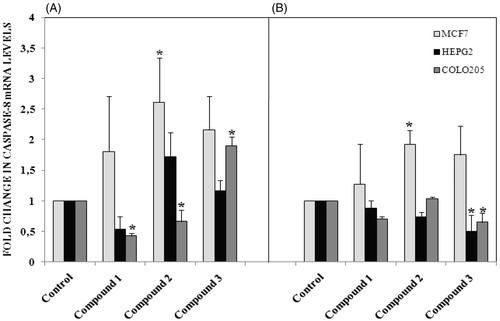 Figure 6. (A) Caspase 8 mRNA levels following 12 h treatment with compounds in different cancer cells, (B) 24 h treatment with compounds. n = 3, *p < 0.05 versus control.