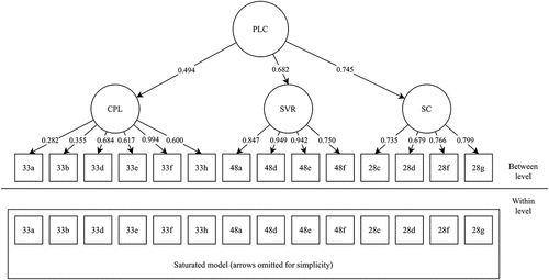 Figure 1. Final model with standardised factor loadings, pooled data.