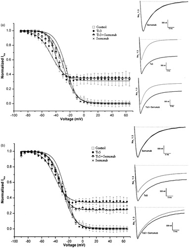 Figure 2. Neutralizing capacity of Serrumab against Tityus serrulatus alpha toxins on the cloned mammalian voltage-gated sodium channel 1.3 expressed in Xenopus laevis oocytes. Steady-state inactivation curves (left panels) and representative whole-cell current traces (right panels) for (a) Ts3 and (b) Ts5: under control conditions (square); with Serrumab alone (star); with 1 µM toxin alone (black ball); and with 1 µM toxin + an equimolar amount of Serrumab (semi-filled diamond). Grey lines indicate traces under control conditions. Voltage dependence data were fitted with a Boltzmann function. The data were tested for their statistical significance using Kruskal-Wallis and Dunn’s test, p > 0.05.