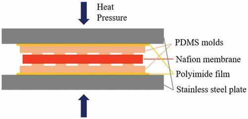 Figure 5. Layout of the Nafion membrane and the PDMS dies under the hot press.