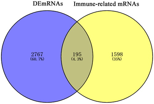 Figure 2. Venn diagram of DEmRNAs in PTC and immune-related mRNAs.