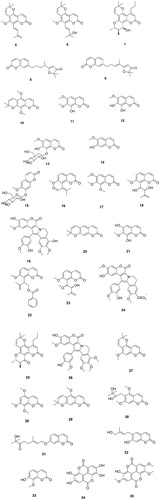 Figure 4. Natural product coumarins 5–35 investigated as CAIs.