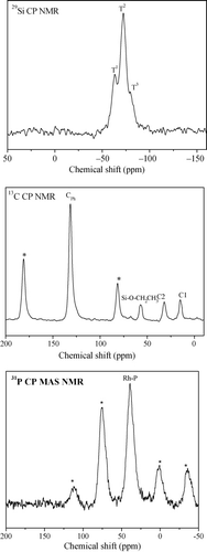 Figure 1. NMR spectra of the Rh(I)-PMO-3D sample.
