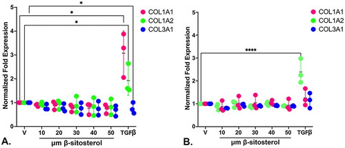 Figure 3. Beta-sitosterol does not induce the transcription of collagen-encoding genes. N1 cells (A) or pHPF cells (B) were grown in in serum-free media and treated with increasing doses of beta-sitosterol or TGFβ and their respective vehicles, then assessed by qRT-PCR. Data from treated cells was normalized to that of respective vehicles, which was set at 1-fold. Treatment with beta-sitosterol failed to elicit transcription of the COL1A1, COL1A2, or COL3A1 genes, whereas treatment with TGFβ significantly (p < .05) increased transcription of these same genes in N1 cells and of the COL1A2 gene in pHPF cells.