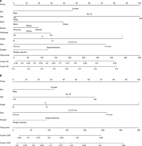 Figure 3 (A) Nomogram for the prediction of 3- and 5-year OS rates of patients undergoing sublobar resection for stage IA NSCLC. (B) Nomogram for the prediction of 3- and 5-year LCSS rates of patients undergoing sublobar resection for stage IA NSCLC.Abbreviations: AC, adenocarcinoma; LCSS, lung cancer-specific survival; OS, overall survival; SC, squamous cell carcinoma.