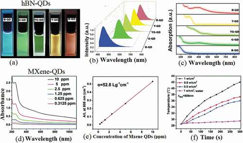 Figure 5. (a) Illumination photographs of chemically functionalized hBN-QDs under 360 UV-irradiation. (b, c) Emission and absorption spectra of hBN-QDs. (d) Absorption spectra of MQDs with different concentrations. (e) Normalized absorbance intensity divided by the characteristic length of the cell (A/L) for varied MQDs concentrations. (f) MQDs photothermal heating curves at different power densities. The plots (a-c) and (d-f) are reproduced with permission from [Citation185] and [Citation199], respectively.