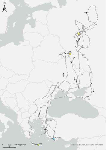 Figure 4. Migration routes, winter and summer areas of black kite tagged on Crete. Black dots represent stopovers. The green dot represents the place of tagging and winter area used in 2020. Yellow dots represent summer areas: S1 – 2020, S2 – 2021. The blue dot represents the winter area used in 2020/2021 and 2021/2022.