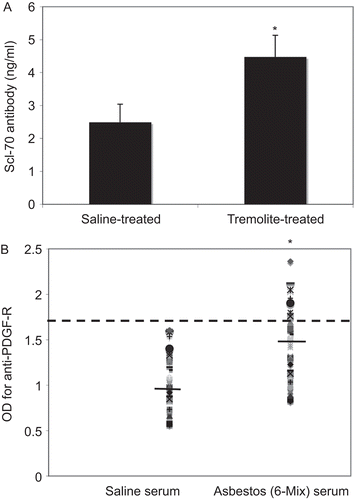 Figure 5.  ELISA for antibodies to DNA topoisomerase I and PDGF-Rα. (A) The presence of anti-Topo I antibodies (Scl-70) were detected at a significantly higher level in the sera of asbestos-instilled mice by Scl-70 ELISA. N = 5 mice, *P < 0.05 by unpaired t-test. (B) ELISA was used to detect antibodies to PDGF-Rα. Scatter graph shows the OD values for individual mice in each group, with the mean for that groups indicated by a solid line. A hypothetical cut-off for positive/negative (dotted line) was calculated as two standard deviations above the mean for the saline group. *P < 0.05, N = 24 mice (combined mice from tremolite and 6-mix exposures).