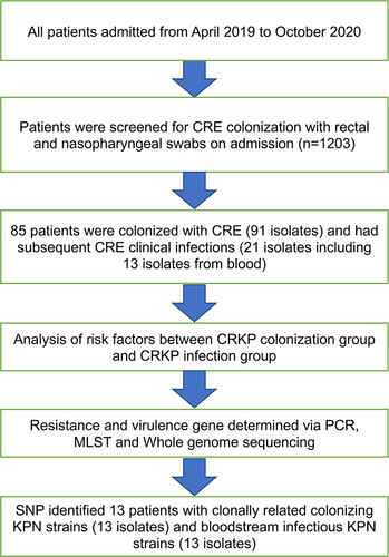 Figure 1 Hospitalized patients were screened for CRE colonization between 2019 and 2020 (n=1203). The patients were divided into “colonized” and “uncolonized” groups, then further divided into “infected” and “uninfected” groups.