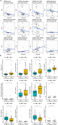 Figure 8 Drug sensitivity analysis. (A) Correlation between drug sensitivity and CDKN3 expression. Spearman correlation coefficients were calculated to investigate the correlation. (B) The different IC50 values of the corresponding drugs in different CDKN3 expression groups. *p < 0.05, **p < 0.01.