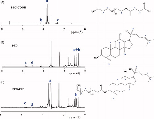 Figure 2. Characterization of PEG-PPD conjugates and its intermediates by 1H NMR spectra. (A) PEG-COOH, (B) PPD, and (C) PEG-PPD.