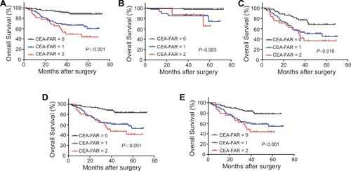 Figure 3 OS based on CEA-FAR in GC patients with stage I–III (A), I–II (B), III (C), advanced GC (D) and lymph node metastasis (E).Note: CEA-FAR: CEA<3.2 and FAR<0.086 represent 0, CEA≥3.2 or FAR≥0.086 represent 1, CEA≥3.2 and FAR≥0.086 represent 2. Abbreviations: OS, overall survival; GC, gastric cancer; CEA, carcinoembryonic antigen; FAR, fibrinogen/albumin ratio.