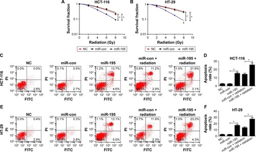 Figure 2 miR-195 mediates radiosensitivity of CRC cells.