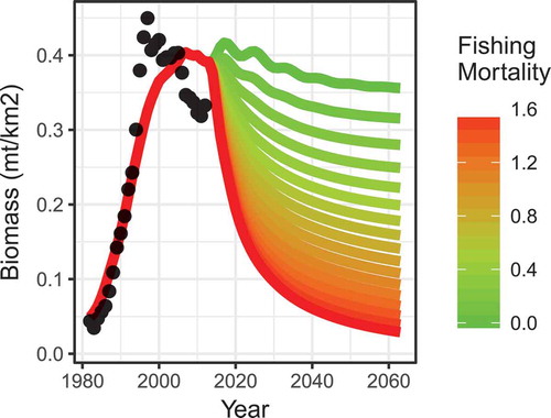 FIGURE 6. Simulated trajectories of total Striped Bass biomass (metric tons [mt] per km2) under different future projections of fishing mortality for medium-stanza Atlantic Menhaden (Fmed.menh = 0–1.6/year) starting in 2014. Lines are model projections; points represent the time series of relative biomass from the Striped Bass stock assessments.