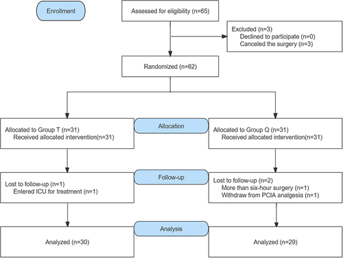 Figure 3 Patient enrollment flow diagram.