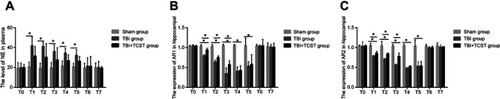 Figure 2 The effects of TCST on the sympathetic nervous system of TBI rats. (A) Comparison of plasma NE levels in rats of each group at each time point. (B) Comparison of hippocampal AR1 expression in rats of each group at each time point (2B). (C) Comparison of hippocampal AR2 expression in rats of each group at each time point. All data are expressed as the mean±standard deviation. Six rats per group; Sham group versus TBI group *p<0.05, Sham group versus TBI + TCST group *p<0.05, TBI group versus TBI+TCST group *p<0.05.