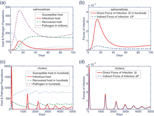 Figure 3. Using the parameter values indicated in Tables 2 and 3, dynamics of salmonellosis and cholera are numerically simulated. (a) Salmonella infection tends to an EE after the first epidemic wave. (b) Considering the infectious host and environment as generators of salmonellosis, the former corresponds to a force significantly higher than the latter. This is in agreement with . (c) After several epidemic waves, cholera becomes endemic and remains persistent in the host population and the environment. (d) Based on the parameter values, the direct and indirect infection forces play almost equal roles in generation of cholera infection.