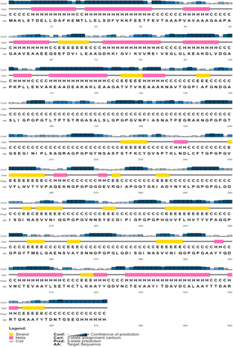 Figure 2 A graphical representation of secondary structure features of the constructed vaccine sequence. The protein was predicted to comprise alpha-helices (21%), beta strands (15%), and coils (62%).