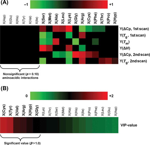 Figure 1. Chemometric analysis of the gelatin–chitosan interaction. (A) Significant coefficients (p < 0.10) of the B matrix calculated by PLSR (coefficients are shown normalized to be visualized in the heat-map). (B) VIP-plot of the X variables (amino acidic interaction with chitosan) shown as heat-map.Figura 1. Análisis quimiométrico de la interacción gelatina-quitosano. (A) Coeficientes significativos (p < 0,10) de la matriz B calculados por PLSR (los coeficientes aparecen normalizados, a fin de visualizarlos en el mapa de calor). (B) Ploteo VIP de las variables X (interacción de aminoácidos con quitosano) mostrado como mapa de calor.