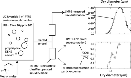 FIG. 1 Schematic of measurement strategy. The two figures on the right show an example size distribution and CCN activation data for a single experiment. Vertical bars in the bottom figure represent ±2 standard deviations, computed from ∼60 independent data points.