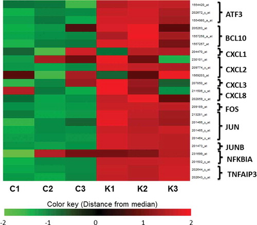 Figure 2. Heat map of inflammation-related genes.