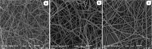 Figure 3. SEM images (a) NF7 (b) NF10 and (c) NF13.