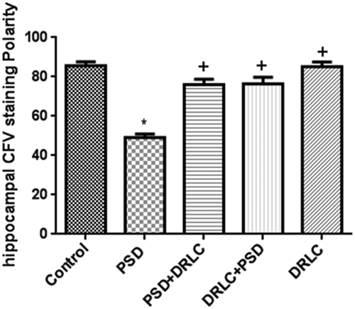 Figure 7. Cresyl fast violet staining intensity in the hippocampus. Reduced CFV staining was observed in the hippocampus of PSD groups when compared to DRLC treated groups. p < 0.05 is considered to be statistically significant; * indicate significant level of difference when compared with control; + indicate significant level of difference in comparison with PSD group.