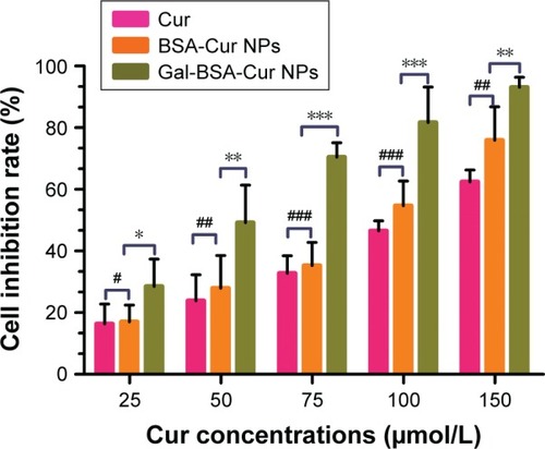 Figure 11 The vitro cytotoxicity of Cur, BSA-Cur NPs, and Gal-BSA-Cur NPs on HepG2 cells.Notes: Each point represents the mean±SD (n=6). *P<0.05, **P<0.01, and ***P<0.001, compared to Gal-BSA-Cur NPs. #P<0.05, ##P<0.01, and ###P<0.001, compared with BSA-Cur NPs.Abbreviations: BSA-Cur NPs, curcumin-loaded BSA nanoparticles; Cur, curcumin; Gal-BSA-Cur NPs, curcumin-loaded galactosylated BSA nanoparticles.