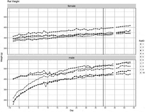 Figure 2. Growth curves of individual female and male rat weights in grams per day during study period. Sucralose was administered daily for all 10 rats starting at Day 0, with the last dose occurring at Day 39.