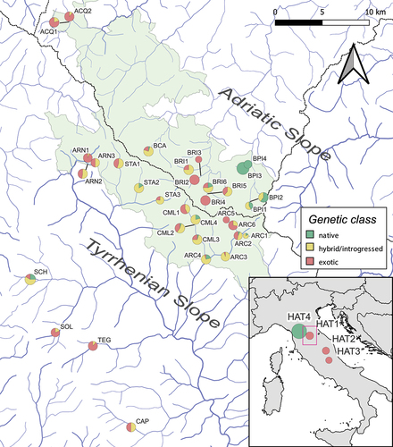 Figure 1. Location and genetic makeup of 33 wild sampling sites in the northern Apennines (Italy) and four hatcheries (indicated in the bottom-right map). Pie charts, proportional to sample size, indicate the frequency and the geographic distribution of three genetic classes defined by combining information from the LDH-C1 genotype and the D-loop haplogroup: “native” = LDH-C1*100/*100 and an AD, ME or MA haplotype; “exotic” = LDH-C1*90/*90 and an AT haplotype; “hybrid/introgressed” = mixed genetic profiles. Site abbreviations are defined in Table I; the FCNP area is shown in pale green; dotted lines mark boundaries of major drainage basins; the purple rectangle indicates the study area in the bottom-right map.