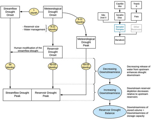 Figure 17. Perceptual model of drought propagation through a reservoir network, with the yellow circles indicating the time between the meteorological and hydrological drought and the time between the drought onset and peak. On the blue circles, the spatial distribution of stored water between upstream and downstream is shown. Downstreamness means downstreamness of volume in this figure. A scheme of the system of reservoirs and the streamflow gauging station (in blue) is also provided