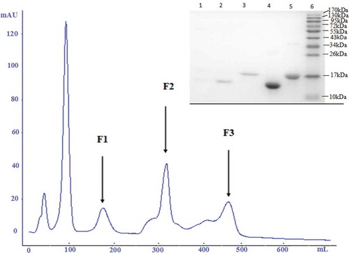 Figure 2. Chromatogram of whey protein separation using anion exchange chromatography and SDS-PAGE analysis of the peaks collected during anion exchange chromatography 1: F1; 2: F2; 3: F3; 4: α-LA standard; 5: β-LG standard; 6: Marker (10–170 kDa).