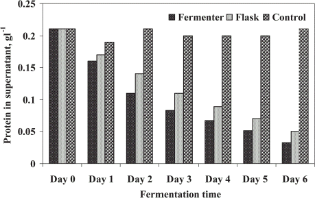 Figure 6. Reduction of soluble protein by fungal mixed culture of A. niger and P. corylophilum in batch fermenter and shake flask.