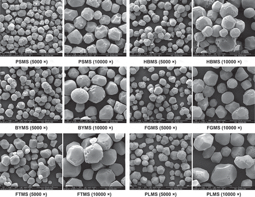 Figure 1  The scanning electron micrographs of starches isolated from six varieties of millet at different magnifications: PSMS: proso millet starch; HBMS: hybrid barnyard millet starch; BYMS: barnyard millet starch; FGMS: finger millet starch; FTMS: foxtail millet starch; PLMS: pearl millet starch.