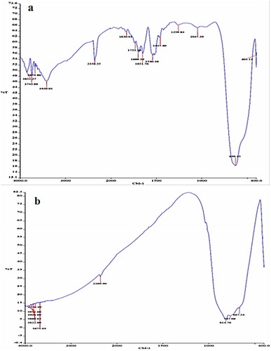 Figure 3. FTIR spectrum of SnO2 (a) and WO3 (b) nano adsorbent.