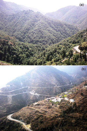 Figure 2. General impression of the forest at (a) Arnigad (largely undisturbed) and (b) Bansigad (degraded). Images were taken (a) at the top ridge (camera position south-facing) and (b) at the side ridge of the catchment (camera position north-facing). Photographs by N.Q. Qazi.