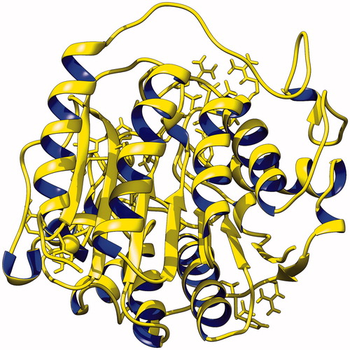 Figure 1. Diagram depicting the three-dimensional structure of histone deacytlase-1 enzyme in new cartoon view.
