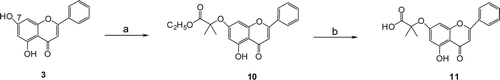 Scheme 1.  (a) BrC(CH3)2COOC2H5, K2CO3, DMF and (b) (i) K2CO3, MeOH/H2O, reflux, (ii) aqueous HCl.