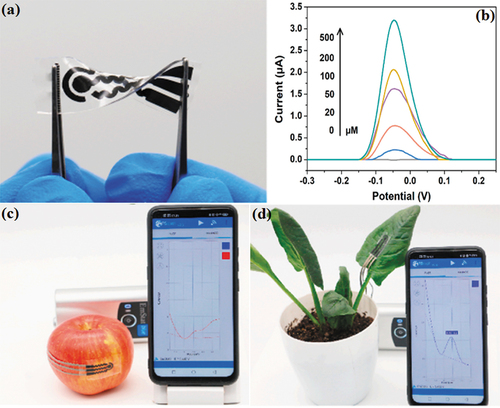 Figure 8. Images of the biosensor along with real-time monitoring of methyl parathion. Reproduced with permission from ref [Citation103], copyright @ Elsevier (2020).