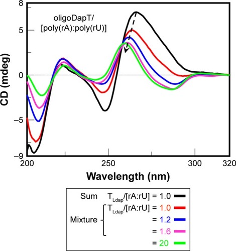 Figure 8 CD analysis at 5°C in a two-chamber cell (optical path = 0.875 cm): sum (black) spectrum of oligoDapT (4, 4 μM in TLdap) and the RNA duplex poly(rA):poly(rU) (5 μM in rA:rU) solutions and mixture spectra at various TLdap/[rA:rU] ratios in PBS buffer (pH 7.5).Abbreviations: CD, circular dichroism; PBS, phosphate-buffered saline.