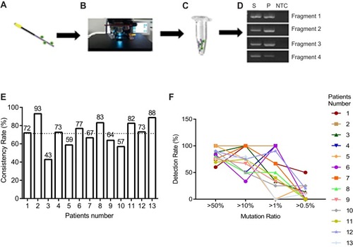 Figure 4 Genomic mutation analysis between CTC and tumor tissue using NGS. (A–D) Flow chart of CTC genomic DNA extraction. (E) Consistency of mutation between tumor tissue and CTC, mean value was shown as dotted line. (F) Detection rate of mutation in CTC showing different mutation load in tumor tissue.