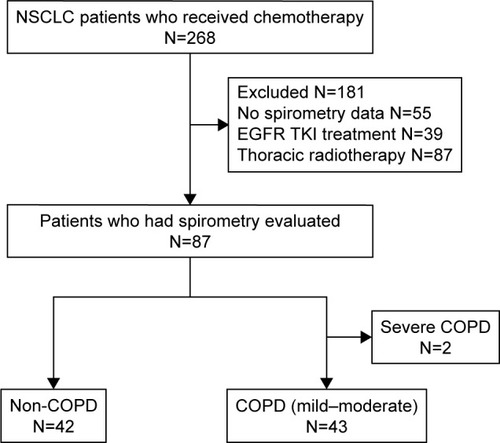 Figure 1 Screening and inclusion process for patients in the study.