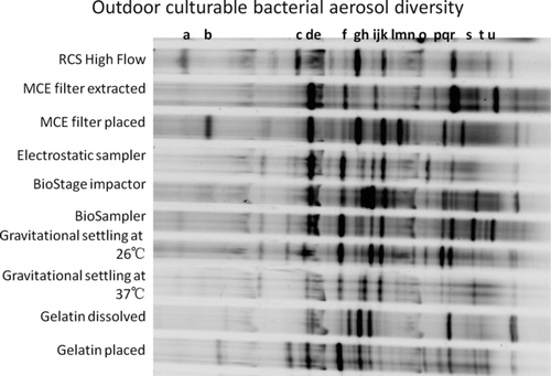 FIG. 5 DGGE profiles of outdoor culturable bacterial aerosol diversity obtained by using different samplers and culturing methods. The operating parameters for the samplers are shown in Table 2.
