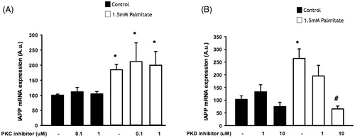 Figure 5. IAPP-induced signaling may require protein kinase D, but not protein kinase C. EndoC-βH1 cells were exposed to 1.5 mmol/L palmitate for 24 h in the presence/absence of different concentrations of a PKC inhibitor (A) and a PKD inhibitor (B), and were then analyzed for IAPP mRNA levels. Bars represent means ± SEM. *Denotes p < 0.05 compared with control group. #Denotes p < 0.05 compared with palmitate treated cells. n = 3, in duplicate.