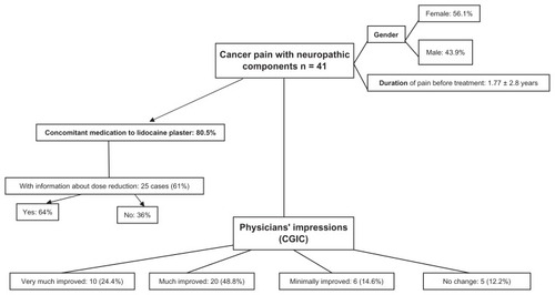 Figure 1 Forty-one case reports of patients with cancer pain with neuropathic components were reviewed.