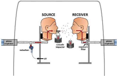 Figure 3. Schematic representation illustrating cascade impaction experiments.